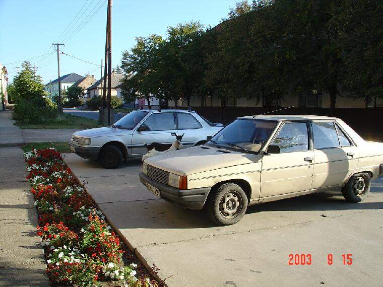 Ide kattintva a nagyobb felbont�s�, nyomtat�sra alkalmasabb k�p ir�nti ig�nyed jelezheted a k�p tulajdonos�nak! polgarmester@davod.hu: 01