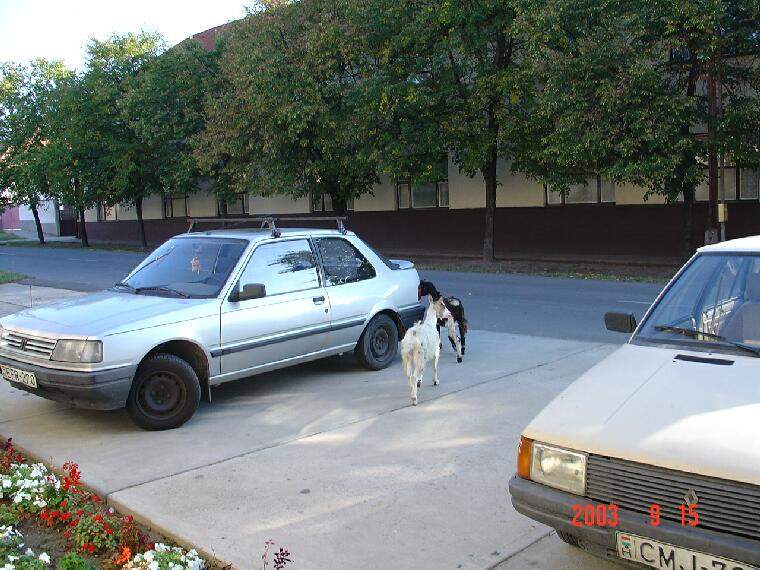 Ide kattintva a nagyobb felbont�s�, nyomtat�sra alkalmasabb k�p ir�nti ig�nyed jelezheted a k�p tulajdonos�nak! polgarmester@davod.hu: 03