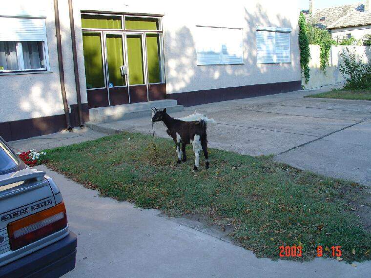 Ide kattintva a nagyobb felbont�s�, nyomtat�sra alkalmasabb k�p ir�nti ig�nyed jelezheted a k�p tulajdonos�nak! polgarmester@davod.hu: 04