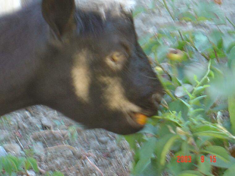 Ide kattintva a nagyobb felbont�s�, nyomtat�sra alkalmasabb k�p ir�nti ig�nyed jelezheted a k�p tulajdonos�nak! polgarmester@davod.hu: 14