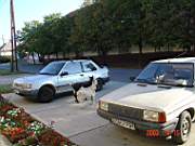 02:180x135=>760x570:pege_02