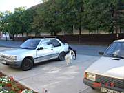 03:180x135=>760x570:pege_03