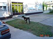 04:180x135=>760x570:pege_04