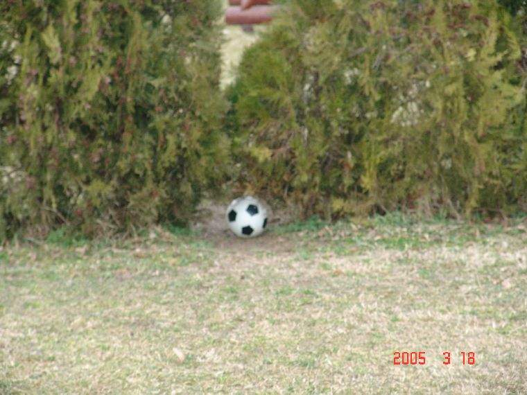 Ide kattintva a nagyobb felbont�s�, nyomtat�sra alkalmasabb k�p ir�nti ig�nyed jelezheted a k�p tulajdonos�nak! polgarmester@davod.hu: 09