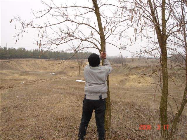 Ide kattintva a nagyobb felbont�s�, nyomtat�sra alkalmasabb k�p ir�nti ig�nyed jelezheted a k�p tulajdonos�nak! polgarmester@davod.hu: 05