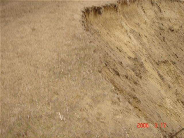 Ide kattintva a nagyobb felbont�s�, nyomtat�sra alkalmasabb k�p ir�nti ig�nyed jelezheted a k�p tulajdonos�nak! polgarmester@davod.hu: 09