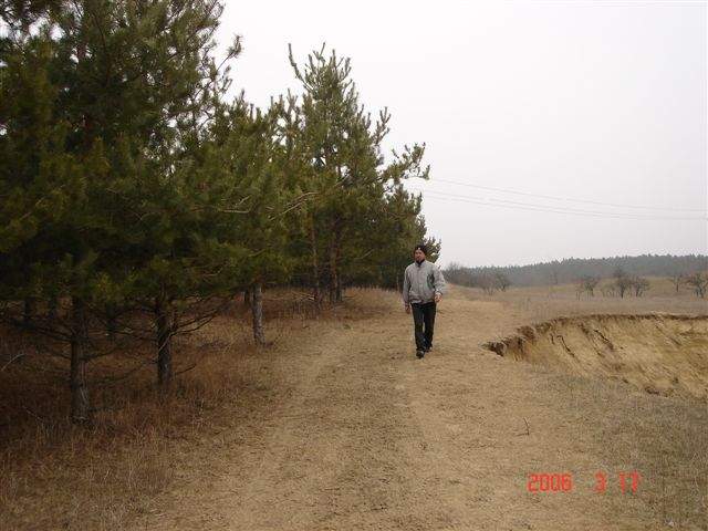 Ide kattintva a nagyobb felbont�s�, nyomtat�sra alkalmasabb k�p ir�nti ig�nyed jelezheted a k�p tulajdonos�nak! polgarmester@davod.hu: 12