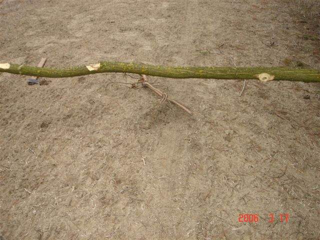 Ide kattintva a nagyobb felbont�s�, nyomtat�sra alkalmasabb k�p ir�nti ig�nyed jelezheted a k�p tulajdonos�nak! polgarmester@davod.hu: 15