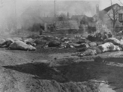 12:400x241=>640x480:pege_12