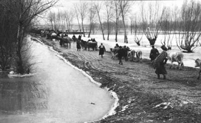 14:400x241=>640x393:pege_14